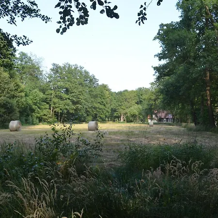 Vierseitenhof * Burg (Spreewald)