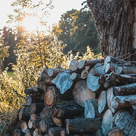Vierseitenhof Burg (Spreewald)