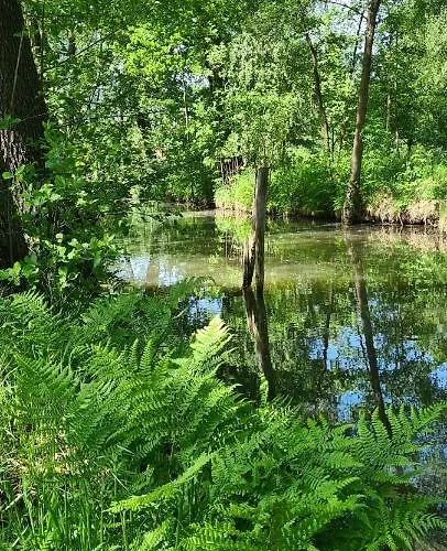 Lejlighed Vierseitenhof Burg