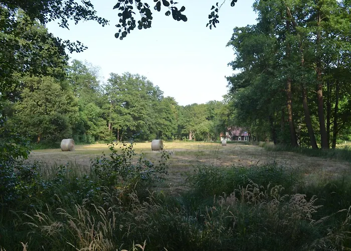 Vierseitenhof * Burg