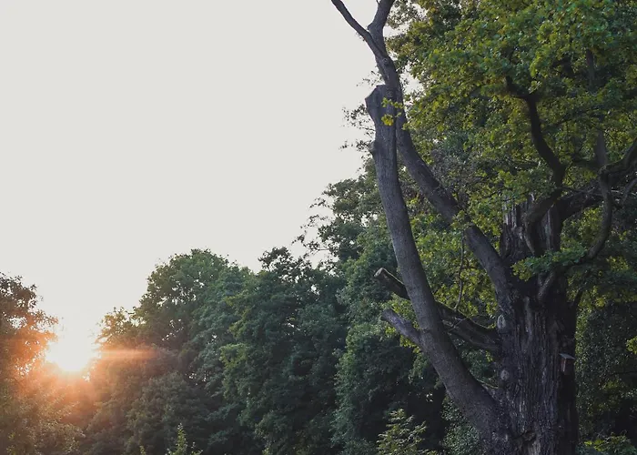 Vierseitenhof Lejlighed