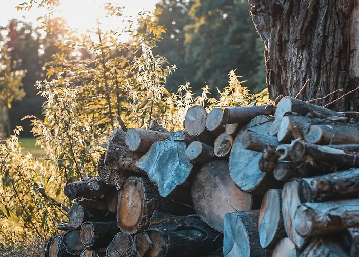 Vierseitenhof Burg (Spreewald)